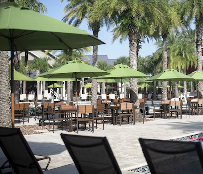 kayak-club-at-shearwater (1).jpg