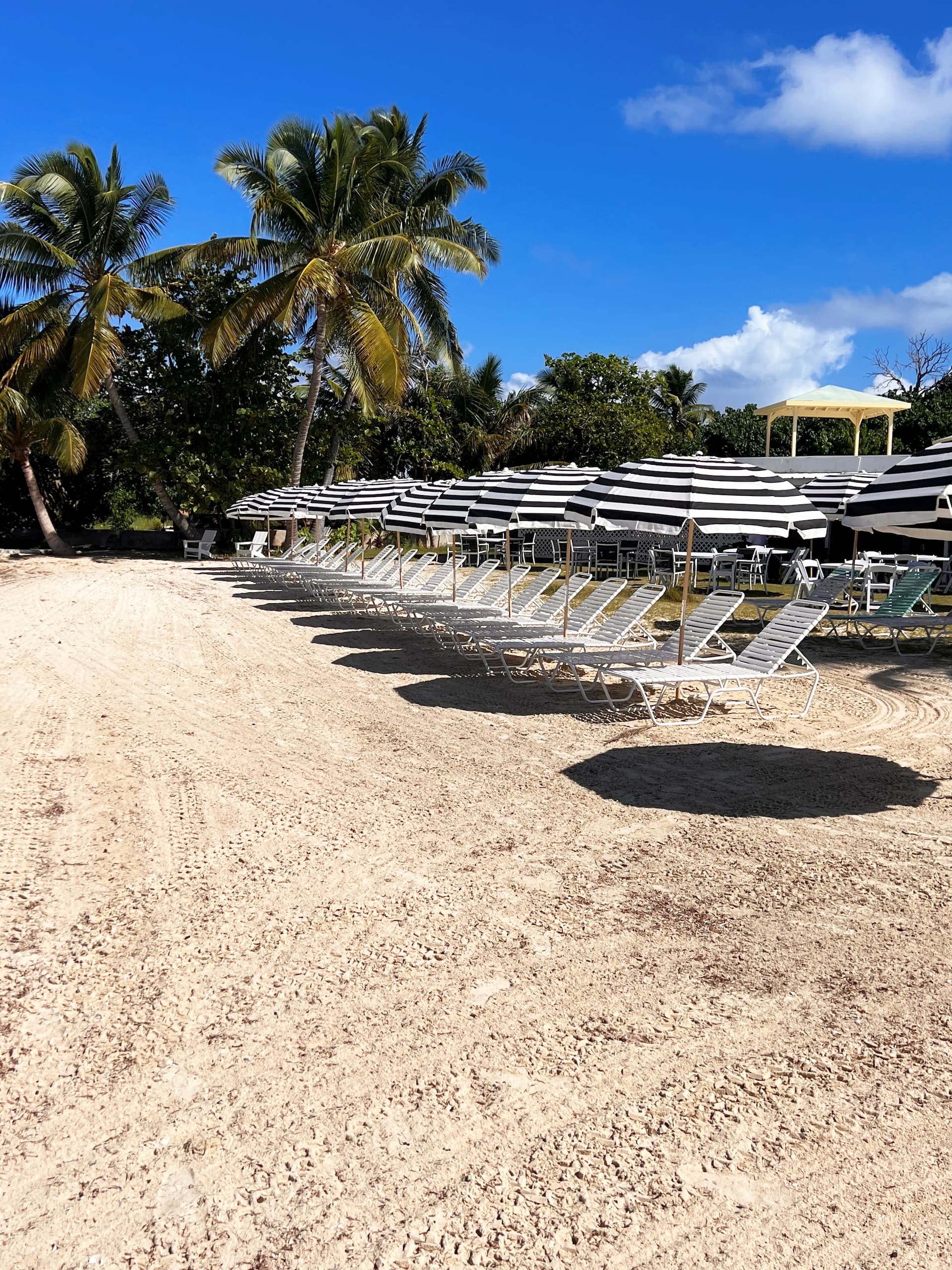 Avalon Beach Umbrella